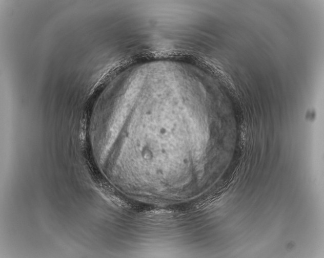 X0000093470691200710261043