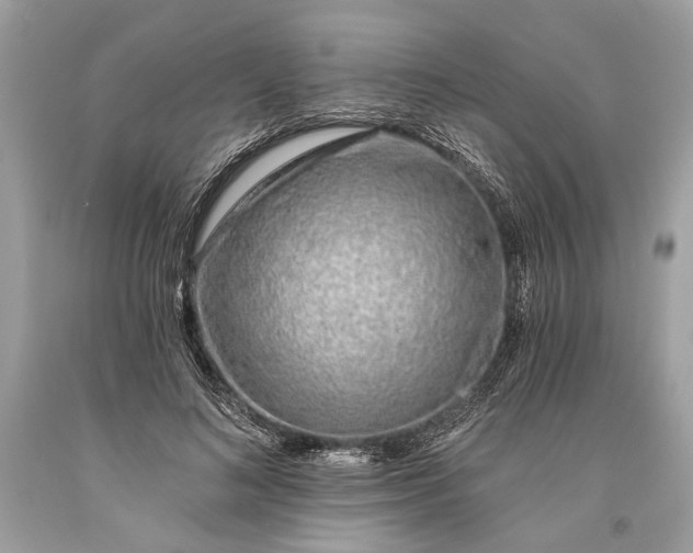 X0000093470692200710261043