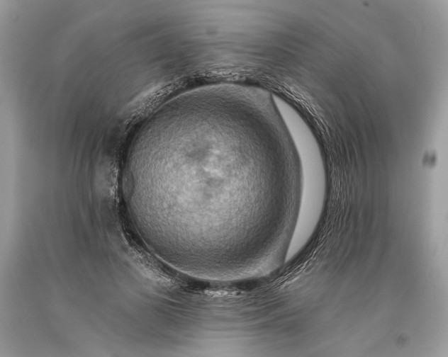 X0000093470693200710261043