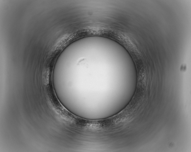 X0000093470694200710261043