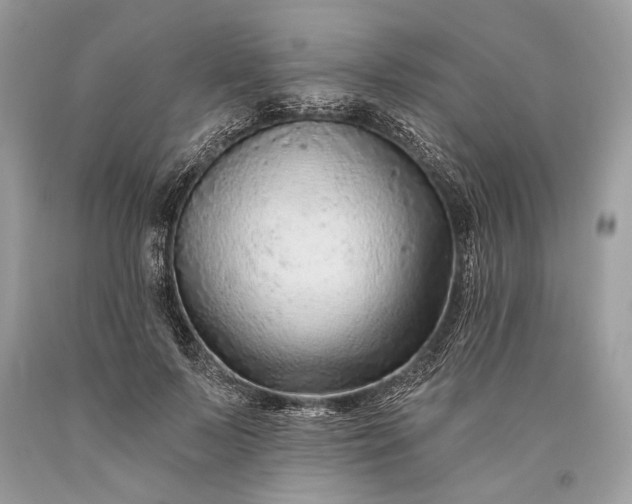 X0000093470695200710261043