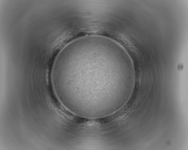 X0000093470696200710261043