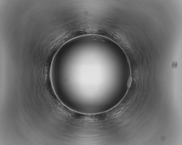 X0000093470697200710261043