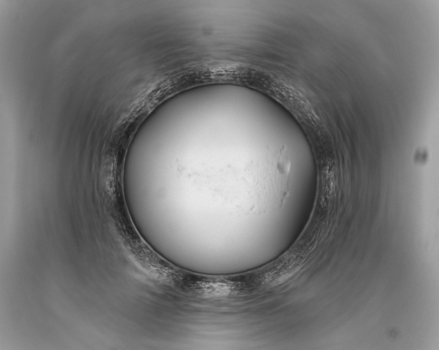 X0000093470698200710261043