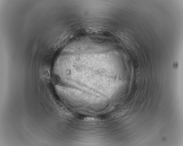 X0000093470699200710261043