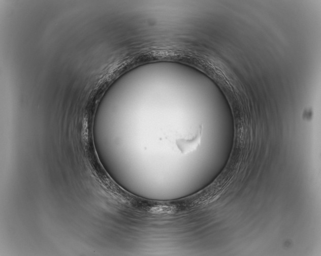 X0000093470700200710261043