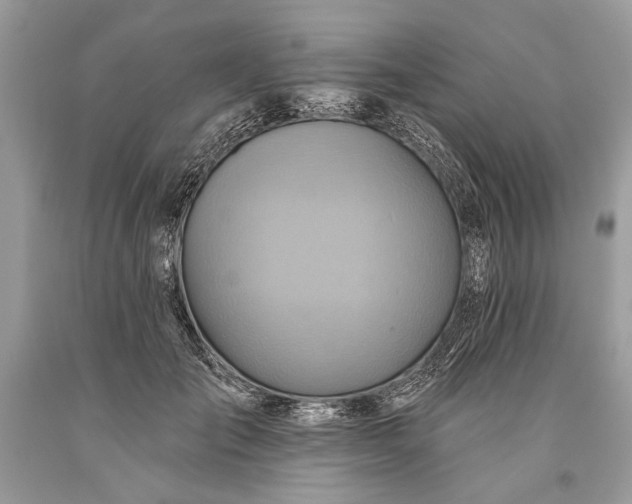 X0000093470701200710261043