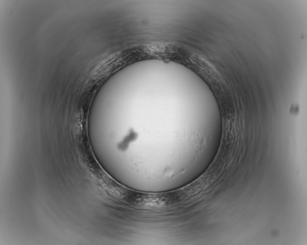 X0000093470702200710261043