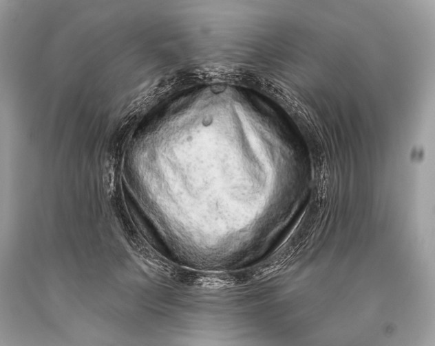 X0000093470703200710261043