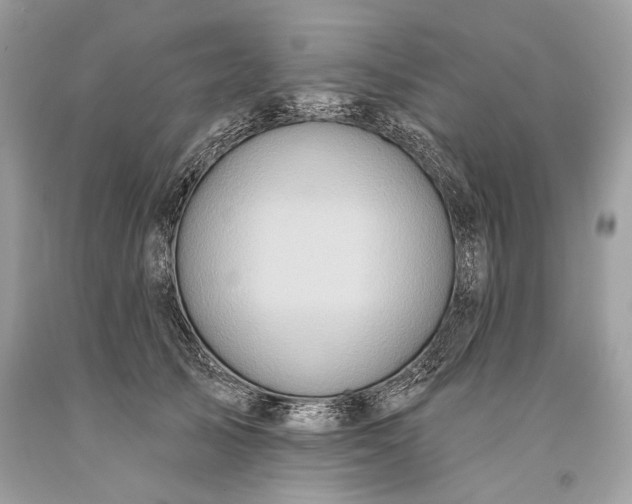 X0000093470705200710261043