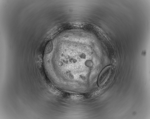 X0000093470707200710261043