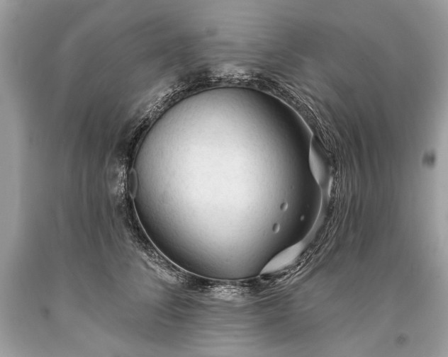 X0000093470708200710261043