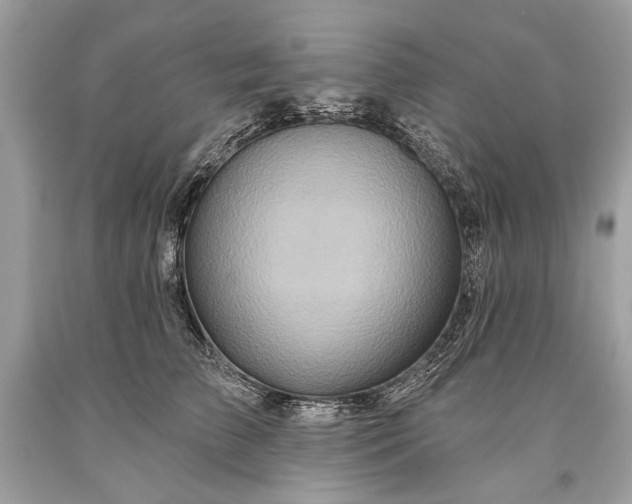 X0000093470709200710261043