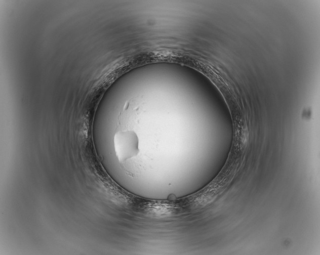 X0000093470710200710261043