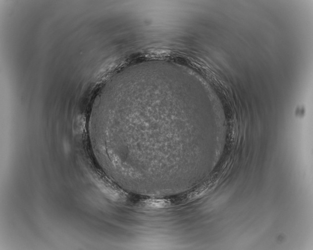 X0000093470711200710261043