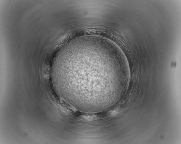 X0000093470712200710261043