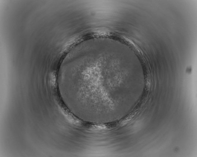 X0000093470715200710261043