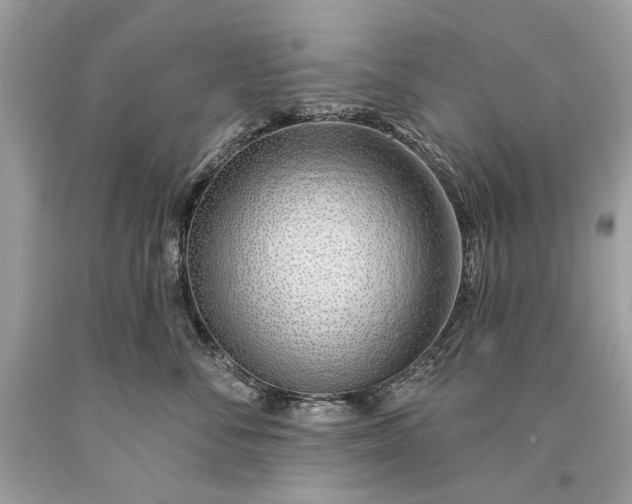 X0000093470716200710261043