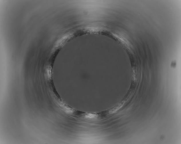 X0000093470718200710261043