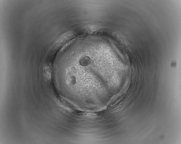 X0000093470719200710261043