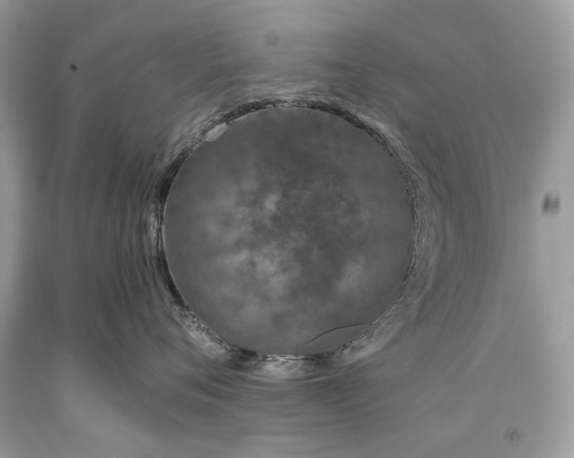 X0000093470720200710261043