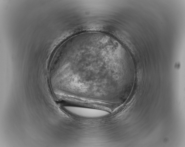 X0000093470721200710261042