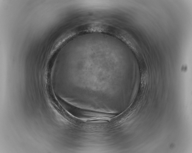 X0000093470722200710261042