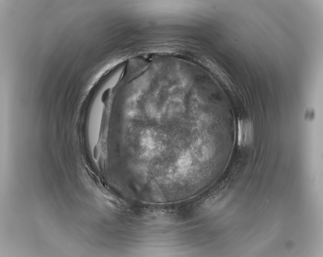 X0000093470723200710261042