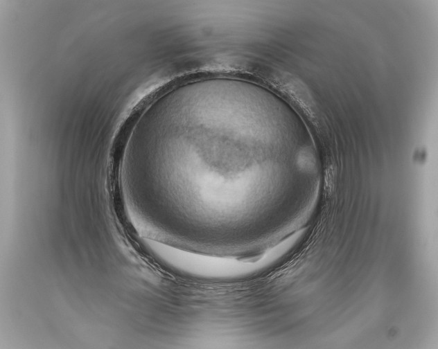 X0000093470724200710261042