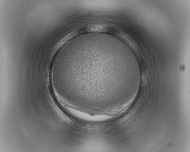 X0000093470725200710261042