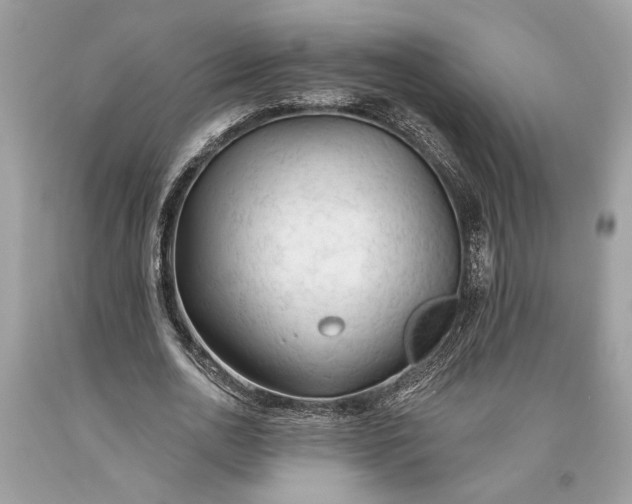 X0000093470726200710261042