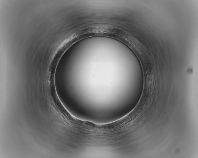 X0000093470727200710261042