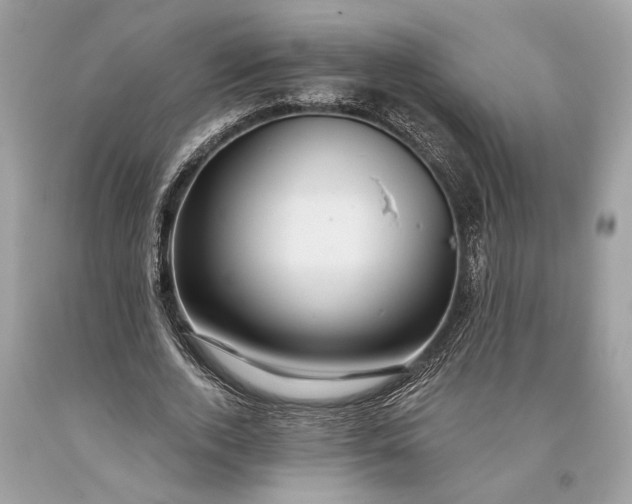 X0000093470728200710261042