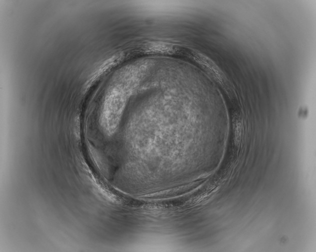 X0000093470729200710261042