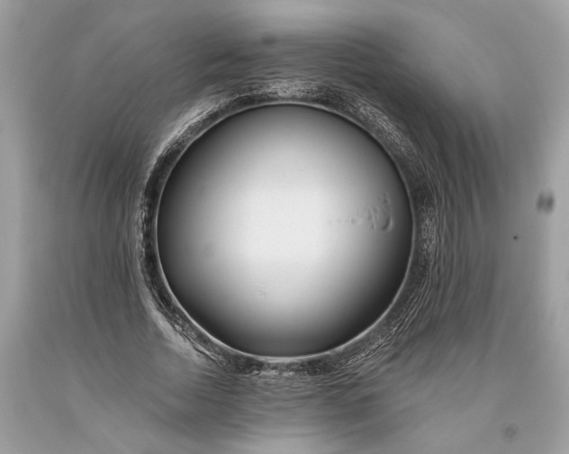 X0000093470730200710261042