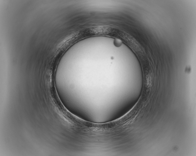 X0000093470733200710261042