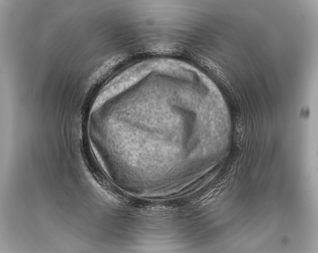 X0000093470734200710261042