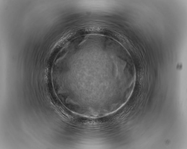 X0000093470735200710261042