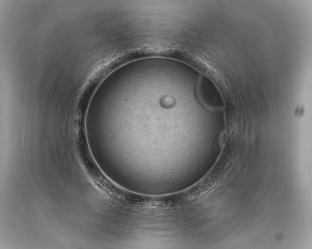 X0000093470736200710261042