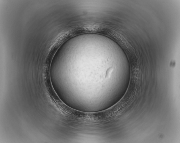 X0000093470738200710261042