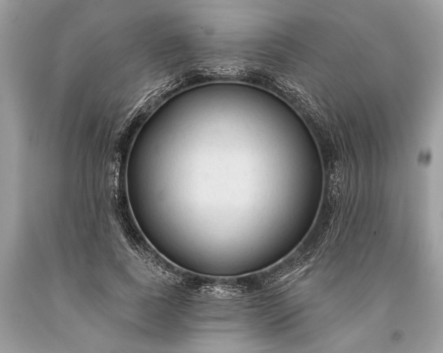 X0000093470739200710261042