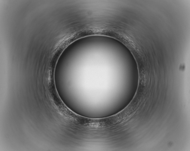 X0000093470740200710261042