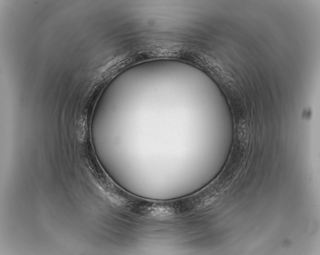 X0000093470741200710261042