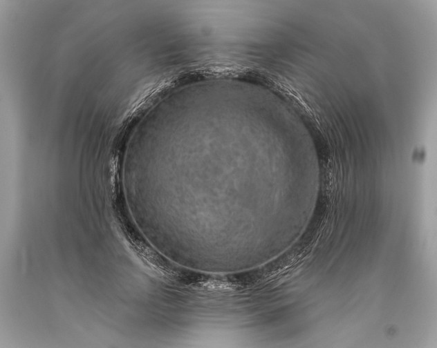 X0000093470742200710261042