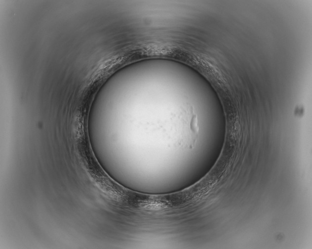 X0000093470743200710261042