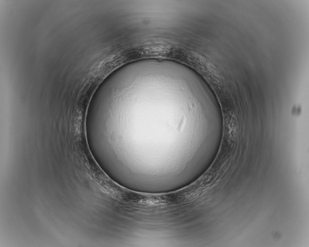 X0000093470745200710261042