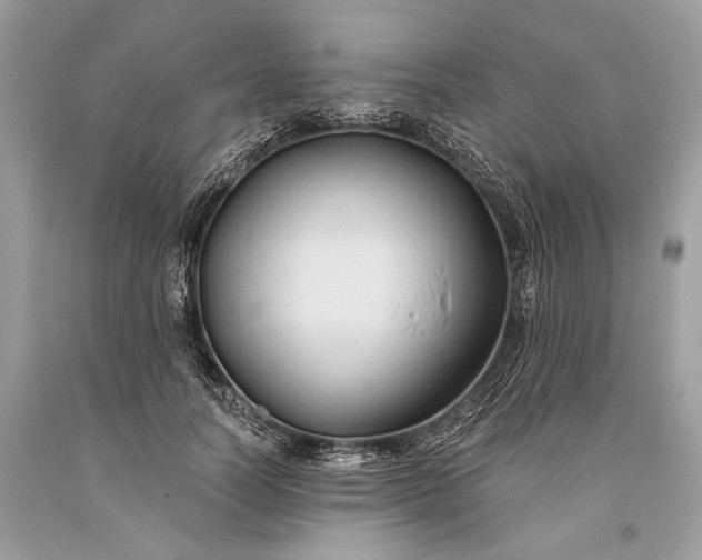 X0000093470746200710261042