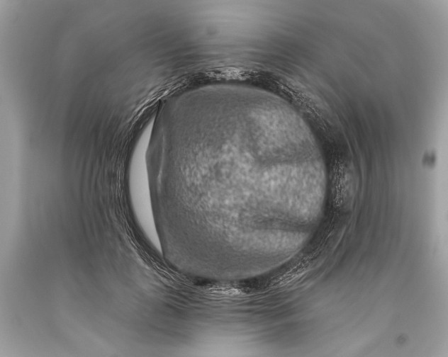 X0000093470747200710261042