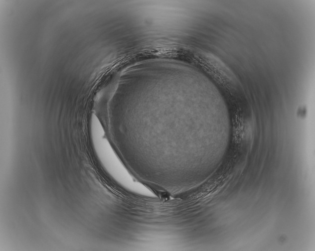 X0000093470748200710261042