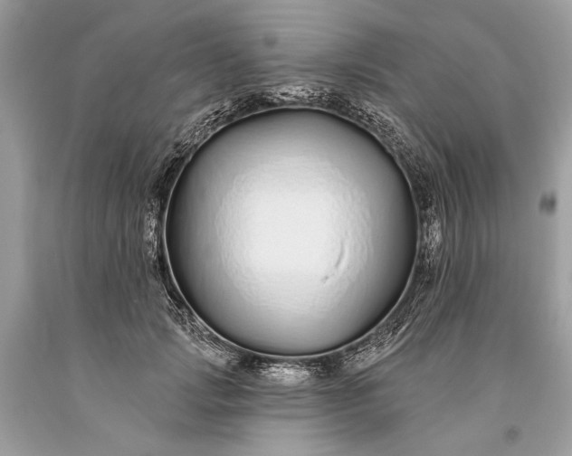 X0000093470749200710261042